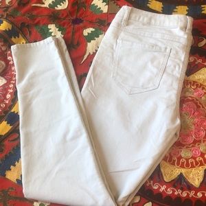 Pale Gray Skinny Jeggings
